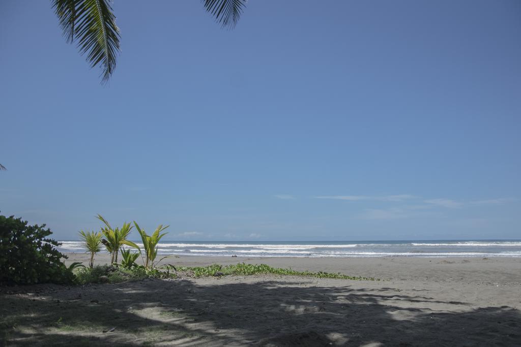 Pelican Beachfront Hotel Esterillos Este Extérieur photo